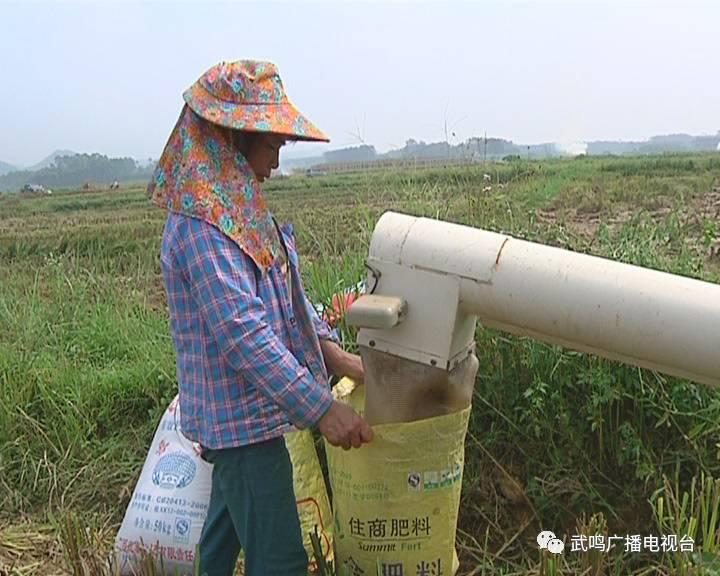 富硒农产品的种植技术(富硒农业种植的三大特点)-硒宝网