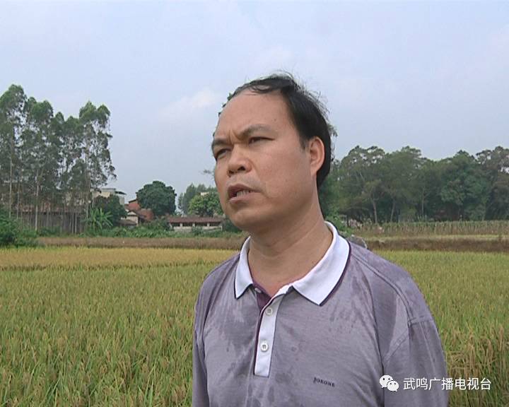 富硒农产品的种植技术(富硒农业种植的三大特点)-硒宝网