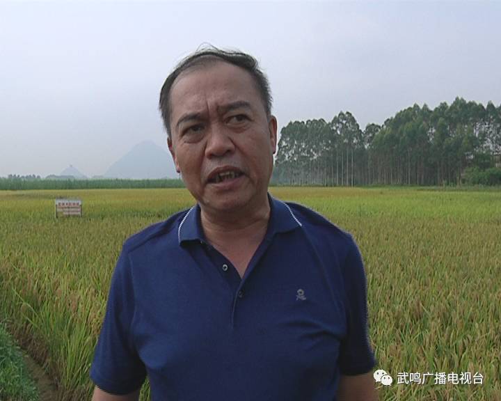 富硒农产品的种植技术(富硒农业种植的三大特点)-硒宝网