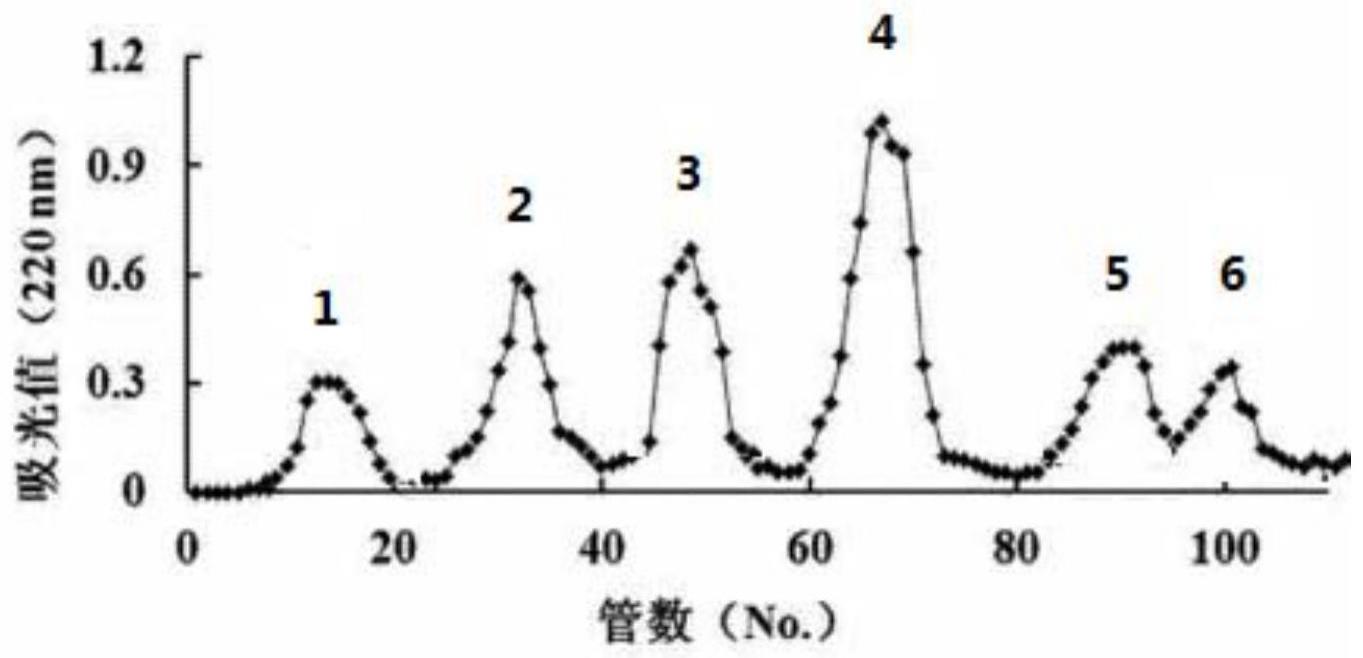 有海参富硒粉这产品吗(海参富硒粉的功效与作用药用)-硒宝网