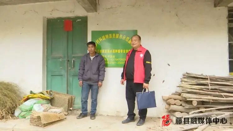 富硒农产品的种植技术（富硒农作物生产技术）-硒宝网