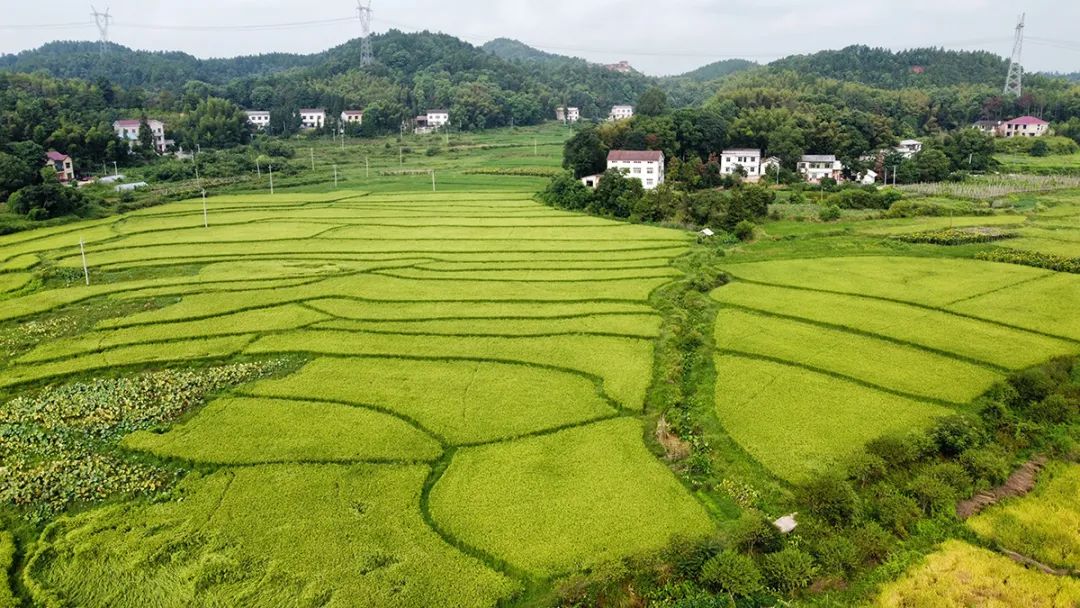 富硒产品不升高血糖吗(富硒能降低血糖吗)-硒宝网