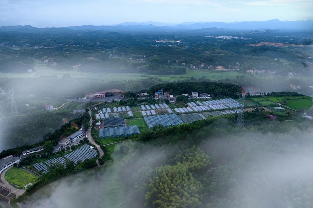 富硒产品不升高血糖吗(富硒能降低血糖吗)-硒宝网