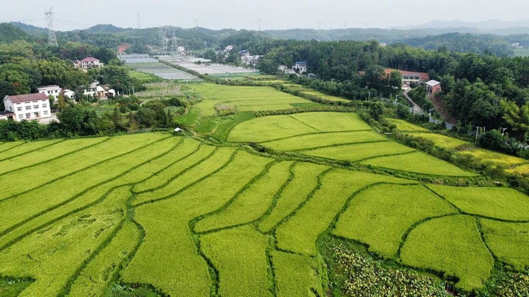 富硒产品不升高血糖吗(富硒能降低血糖吗)-硒宝网