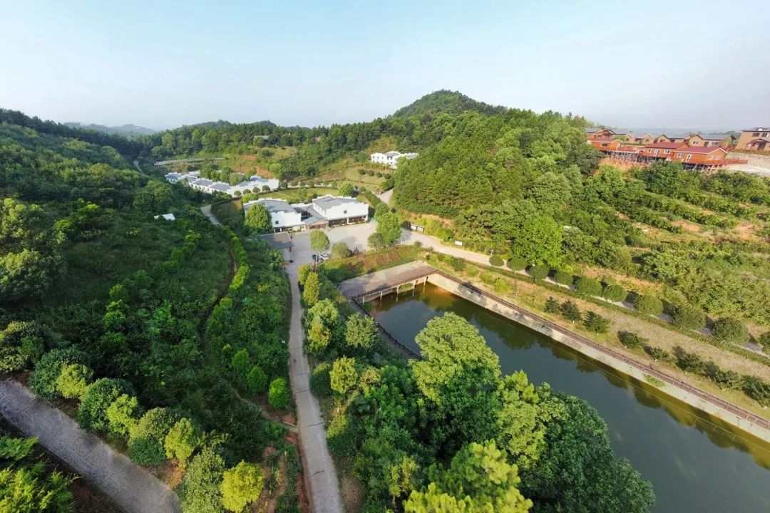 富硒产品不升高血糖吗(富硒能降低血糖吗)-硒宝网