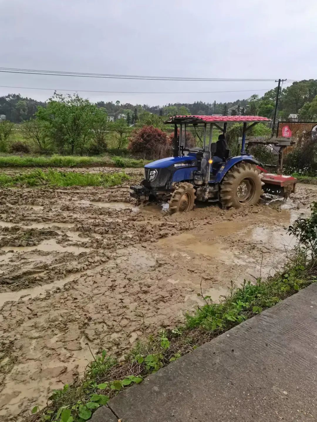 富硒产品不升高血糖吗(富硒能降低血糖吗)-硒宝网