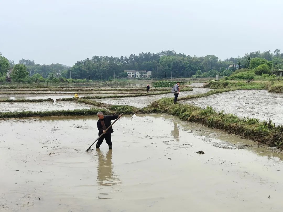 富硒产品不升高血糖吗(富硒能降低血糖吗)-硒宝网