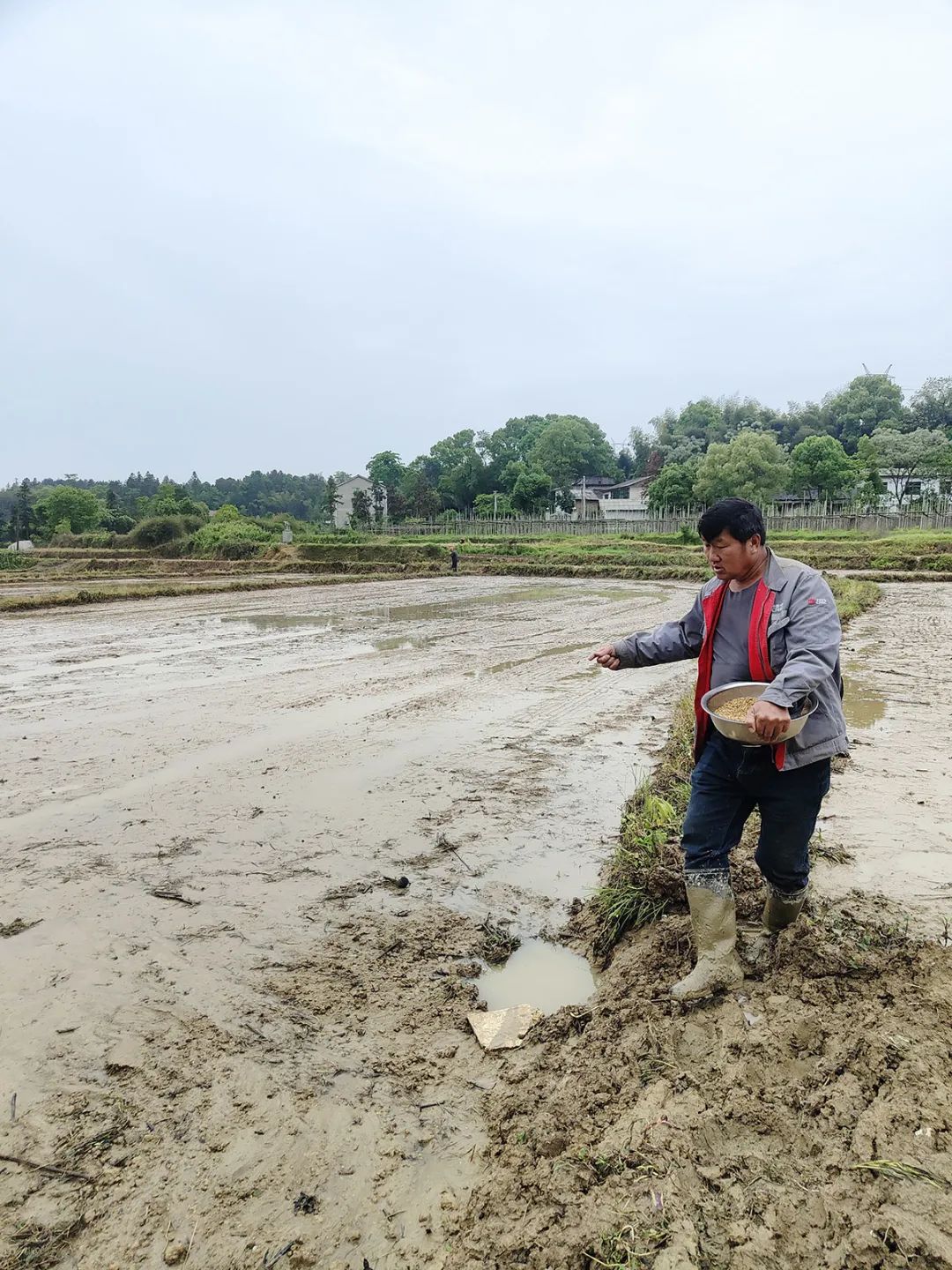 富硒产品不升高血糖吗(富硒能降低血糖吗)-硒宝网