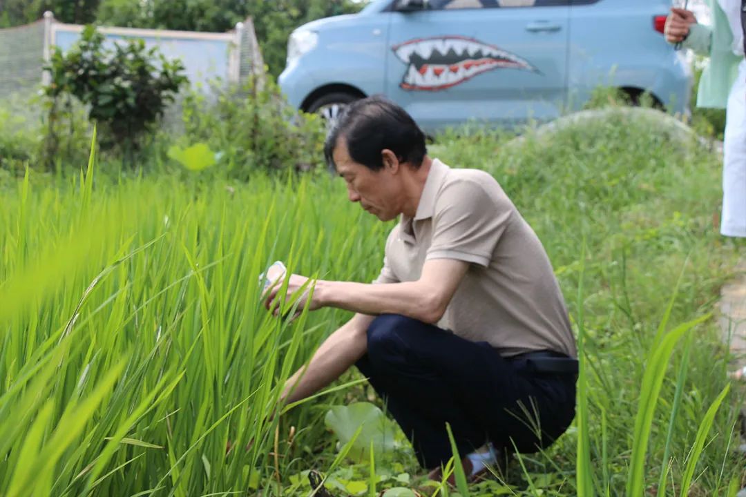 富硒产品不升高血糖吗(富硒能降低血糖吗)-硒宝网
