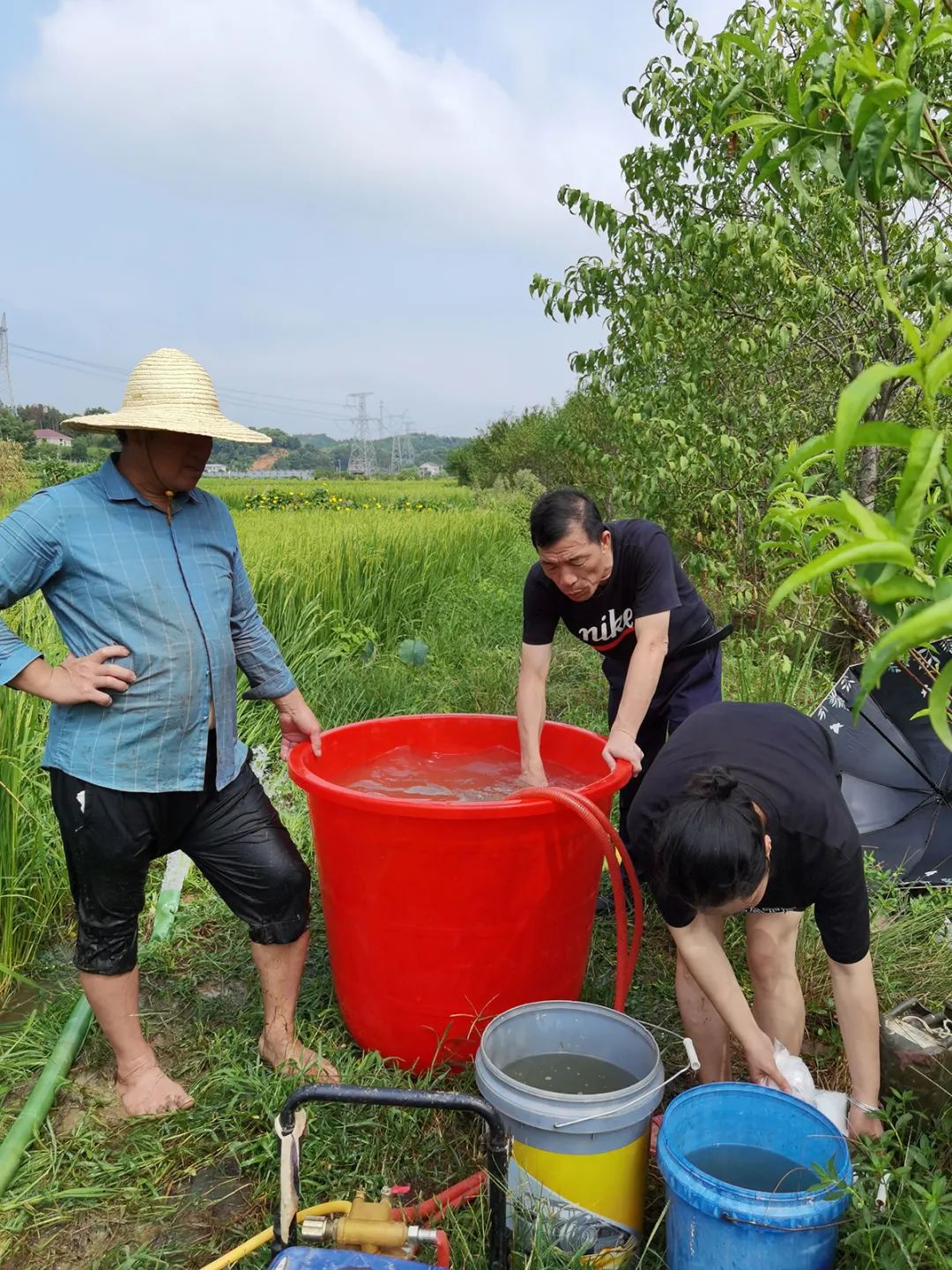 富硒产品不升高血糖吗(富硒能降低血糖吗)-硒宝网