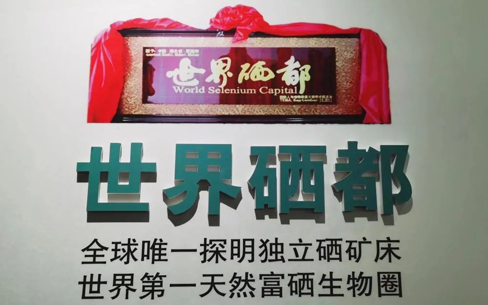 恩施富硒国家产品检测(恩施富硒产品检测中心)-硒宝网