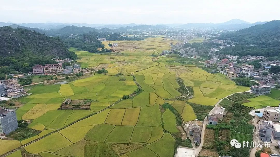 前景好富硒农产品认证(富硒农产品产业链)-硒宝网
