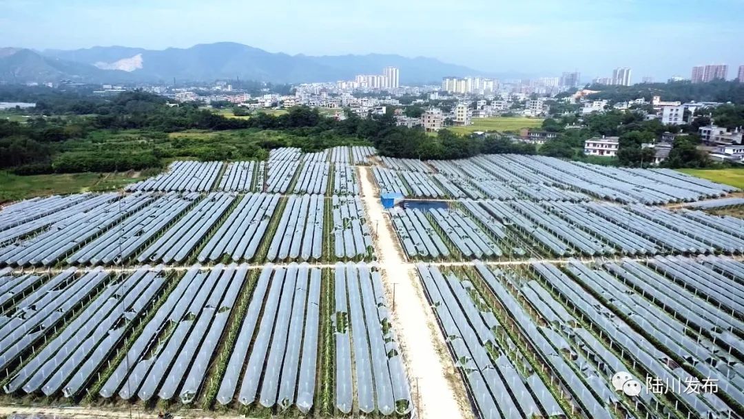 前景好富硒农产品认证(富硒农产品产业链)-硒宝网