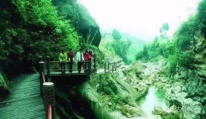 前景好富硒农产品认证（富硒农产品品牌）-硒宝网