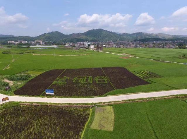 富硒农产品加工产业园（富硒农业基地）-硒宝网