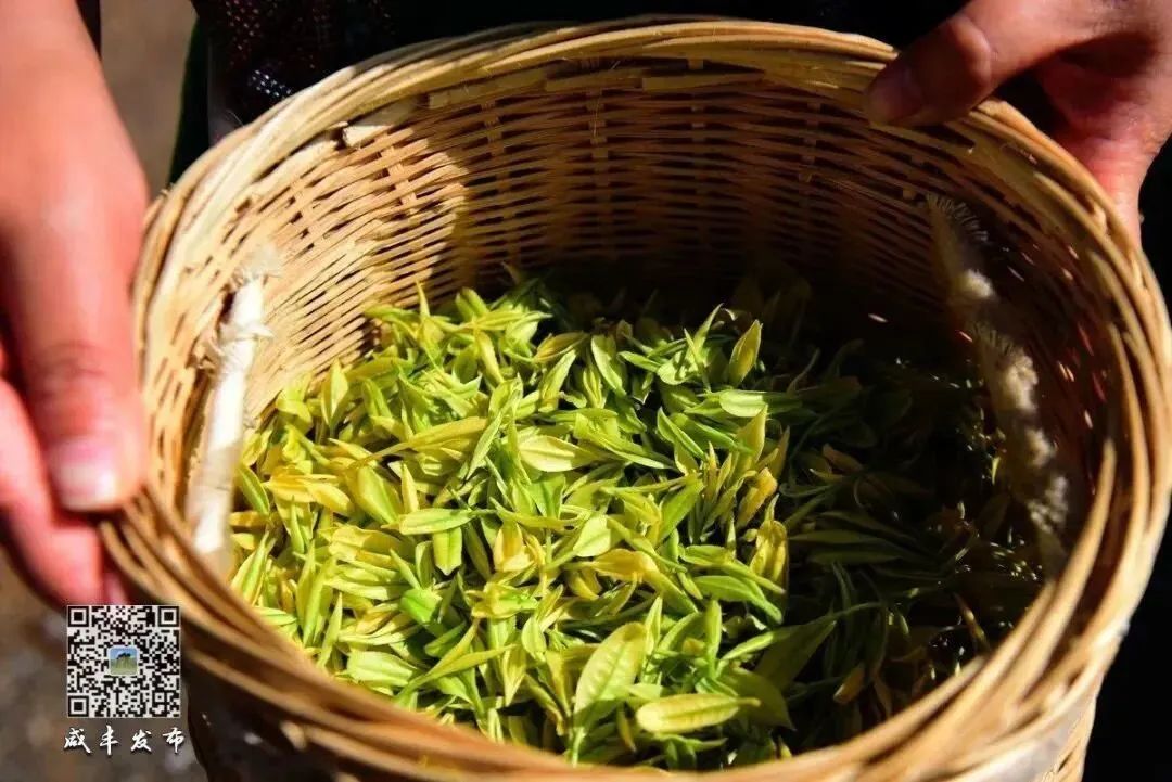 于都县富硒产品茶叶厂(于都富硒蔬菜产业园)-硒宝网