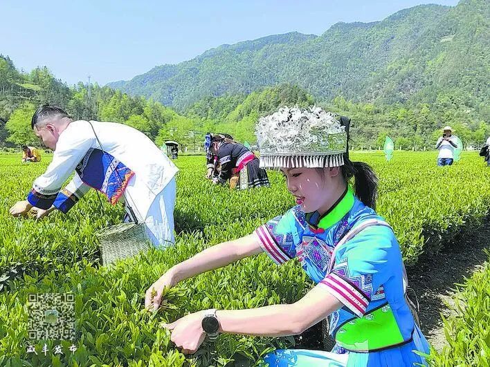 于都县富硒产品茶叶厂(于都富硒蔬菜产业园)-硒宝网