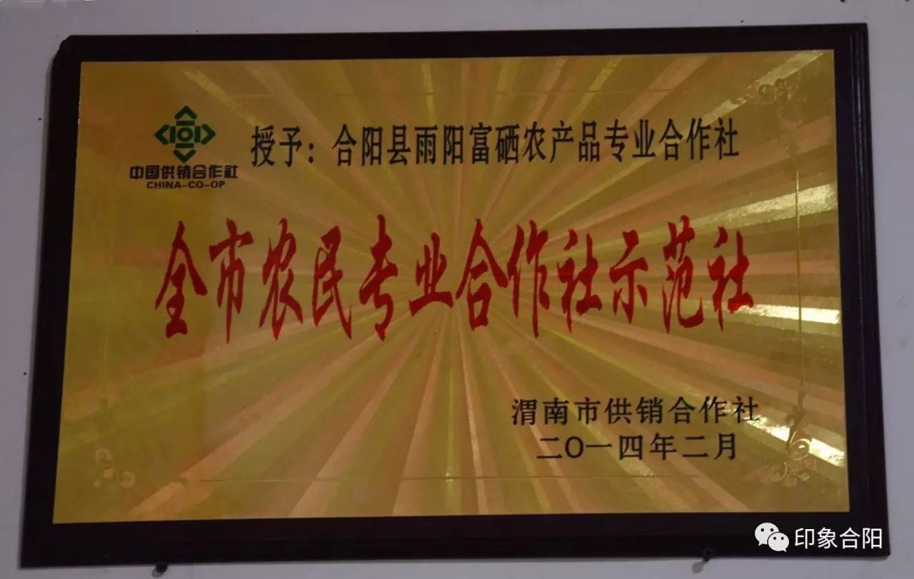 前景好富硒农产品认证(富硒农产品市场前景)-硒宝网