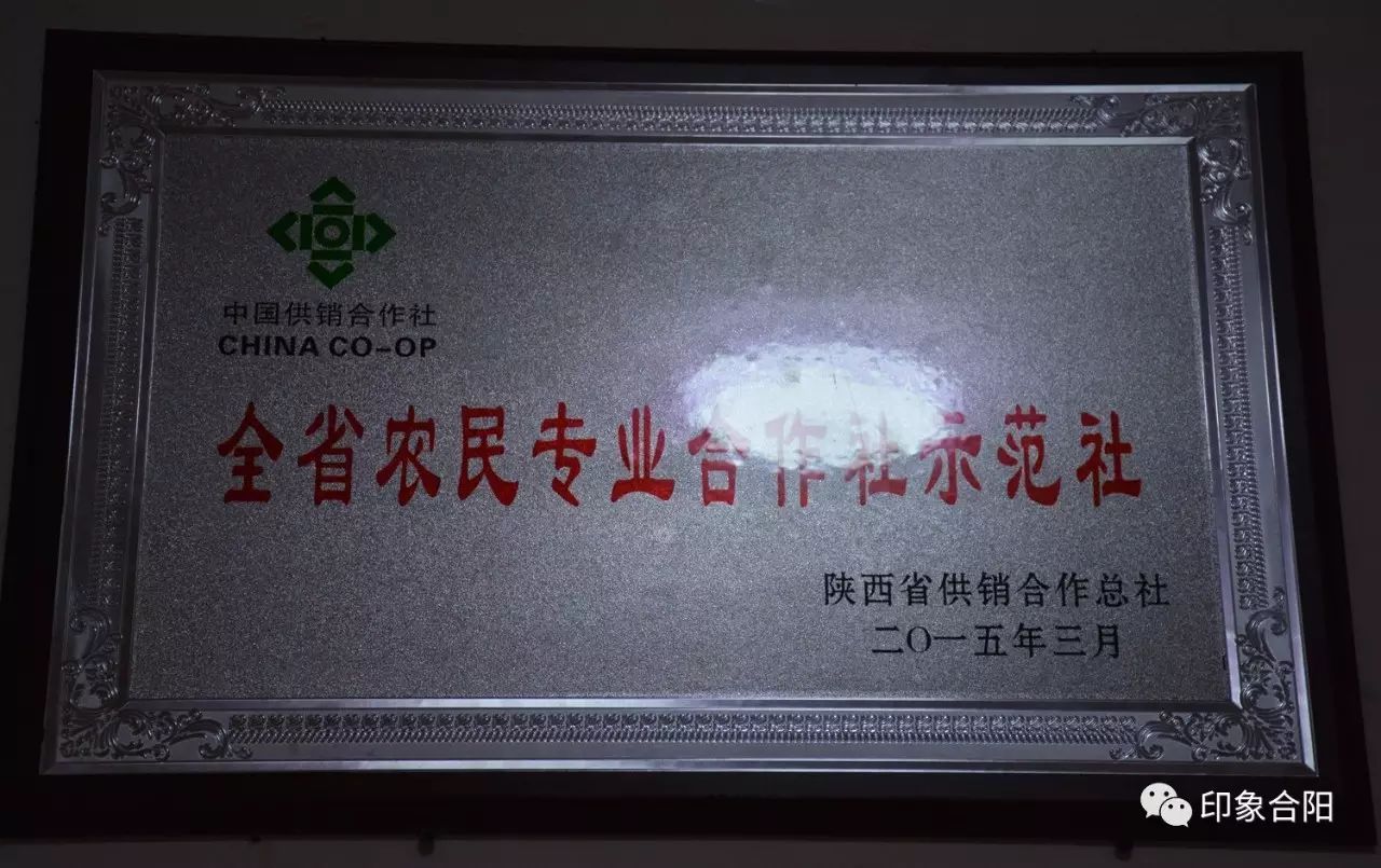 前景好富硒农产品认证(富硒农产品市场前景)-硒宝网