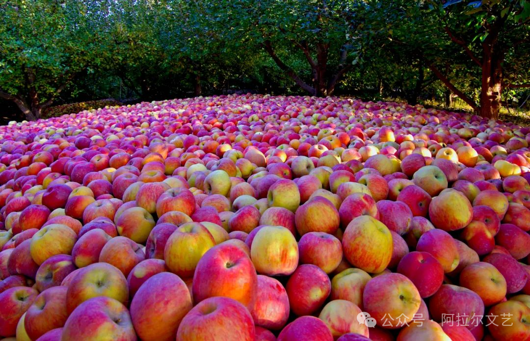 阿拉尔富硒农产品认证（富硒认证政策）-硒宝网