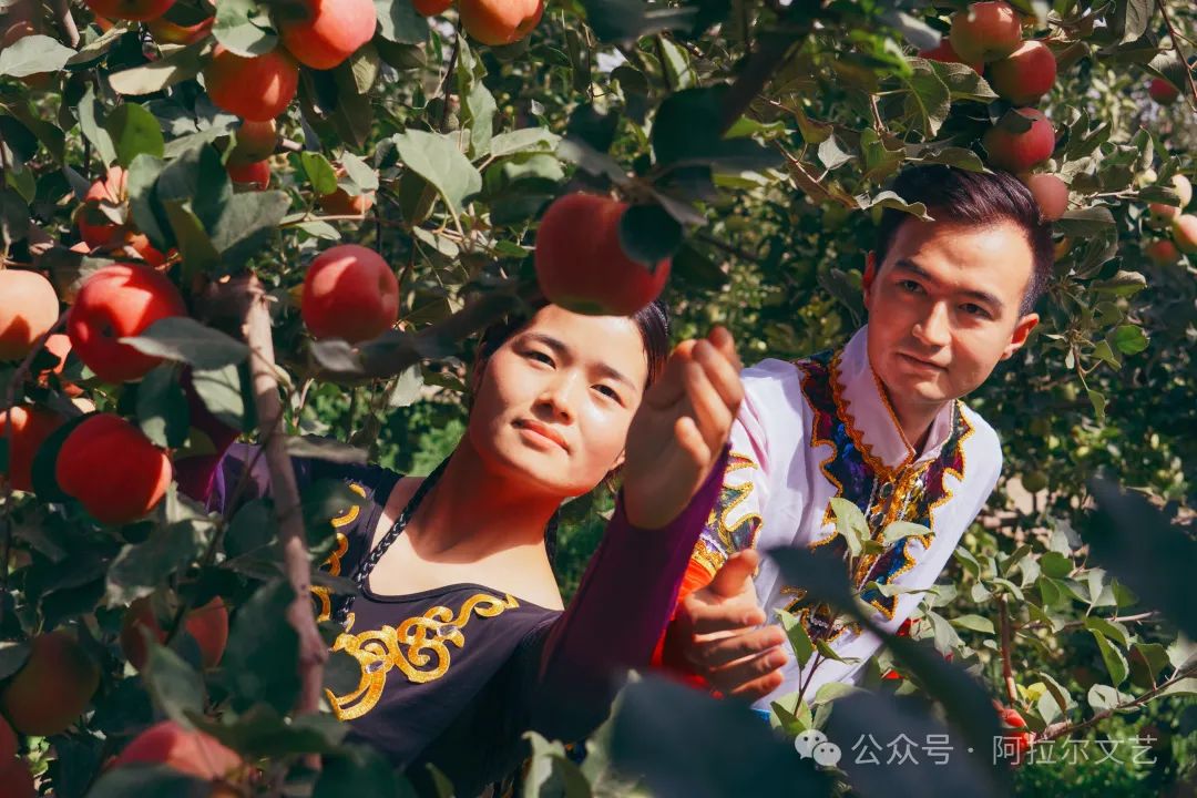 阿拉尔富硒农产品认证（富硒认证政策）-硒宝网