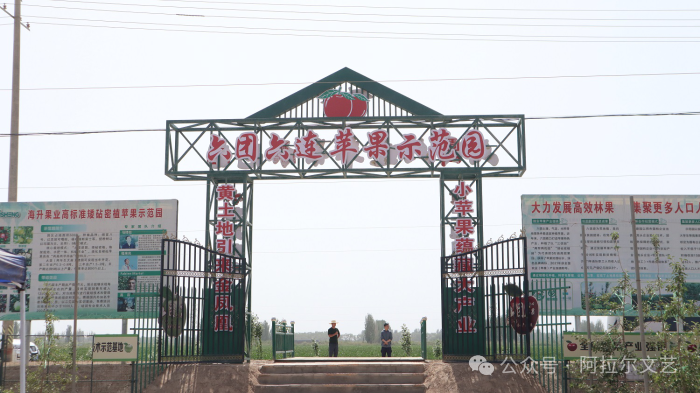 阿拉尔富硒农产品认证（富硒认证政策）-硒宝网