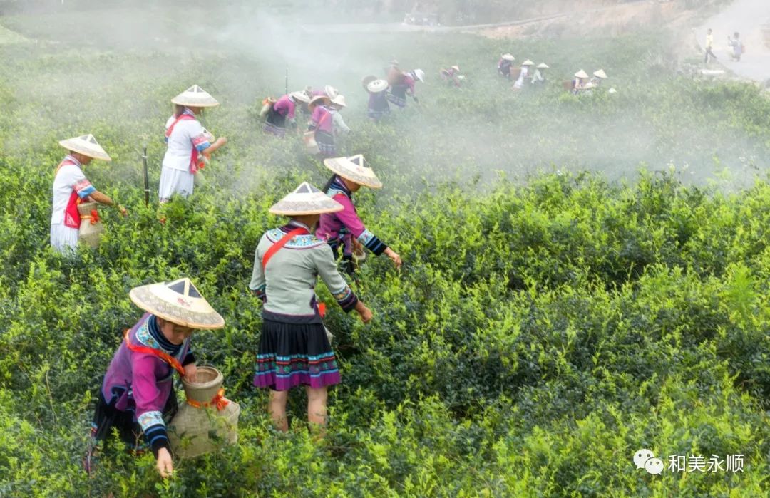 内蒙古富硒农产品认证（内蒙古富硒土壤分布图）-硒宝网