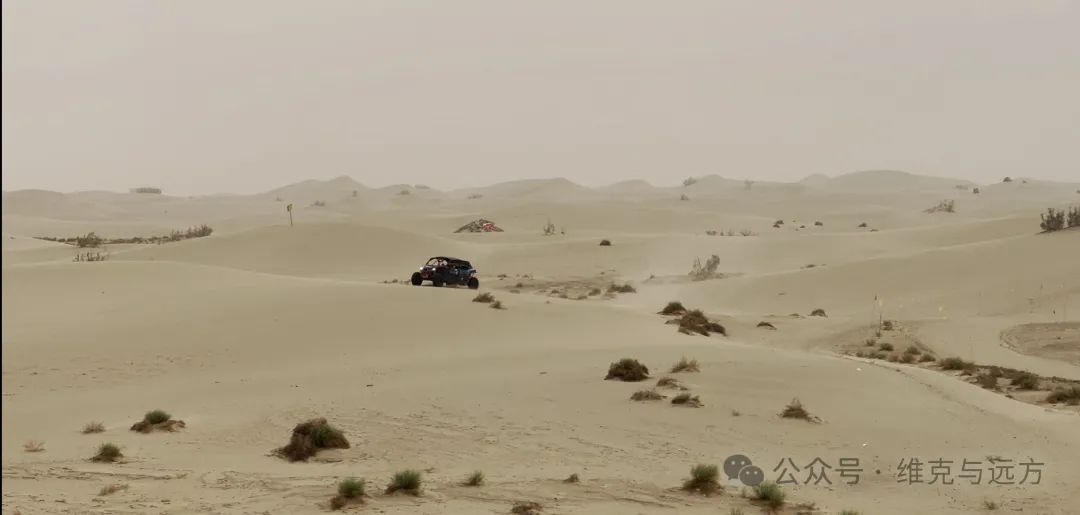 阿拉尔富硒农产品认证(国家富硒农产品认证)-硒宝网