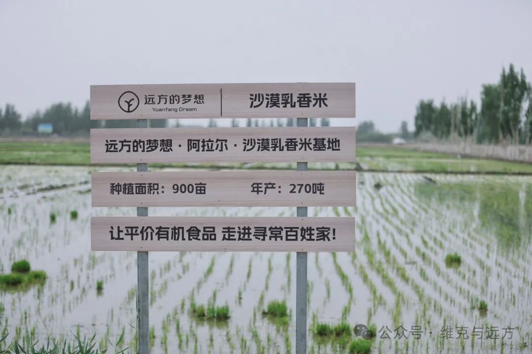 阿拉尔富硒农产品认证(国家富硒农产品认证)-硒宝网