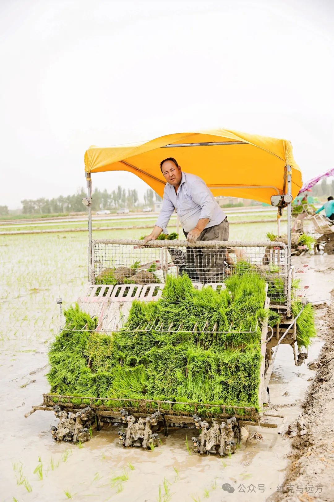 阿拉尔富硒农产品认证(国家富硒农产品认证)-硒宝网
