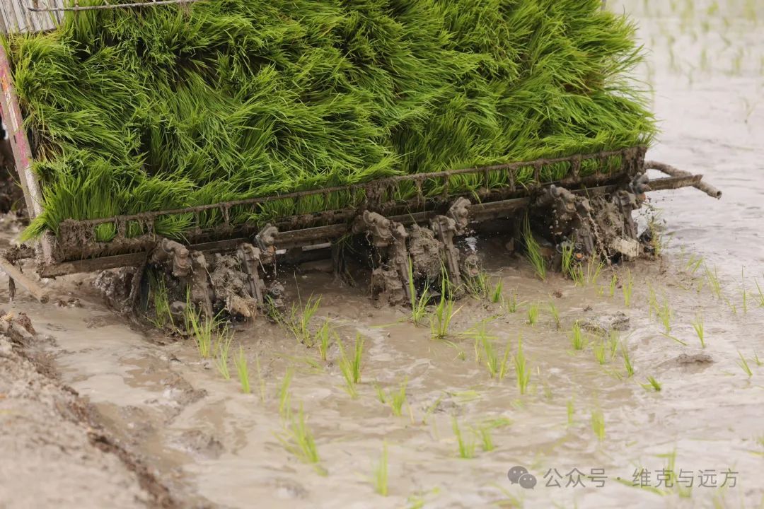 阿拉尔富硒农产品认证(国家富硒农产品认证)-硒宝网