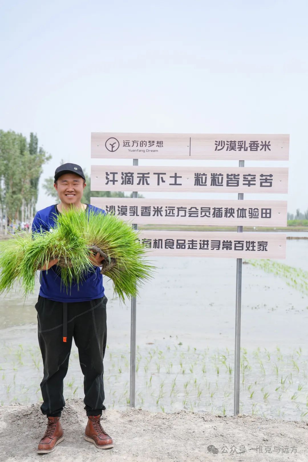 阿拉尔富硒农产品认证(国家富硒农产品认证)-硒宝网