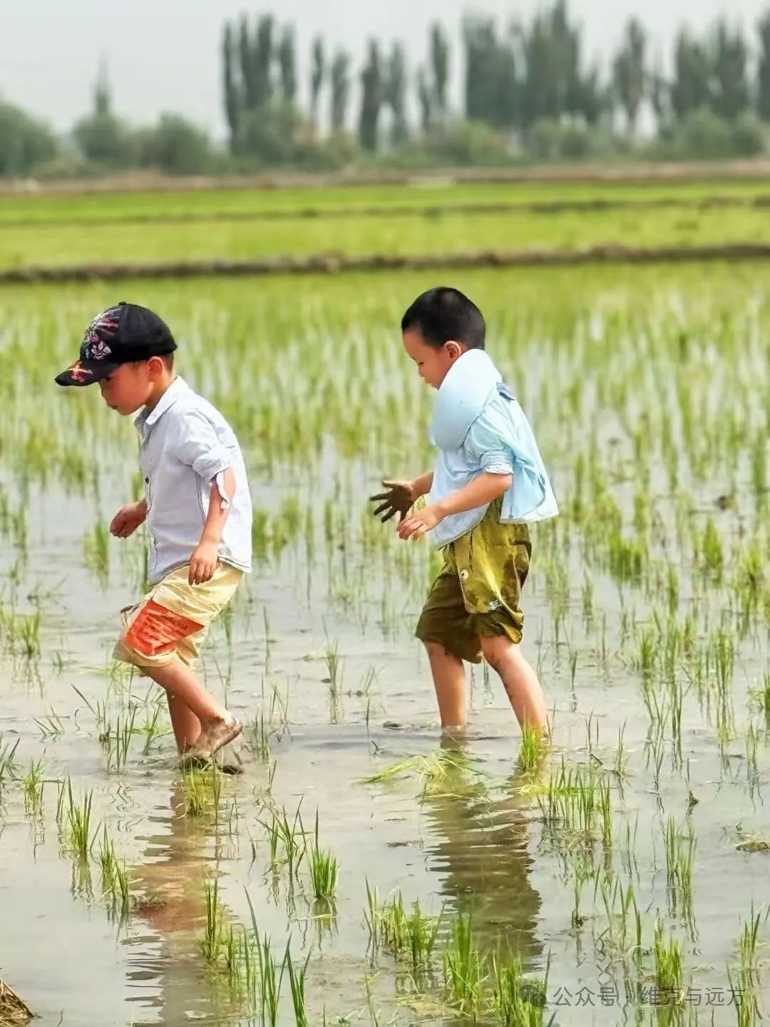 阿拉尔富硒农产品认证(国家富硒农产品认证)-硒宝网
