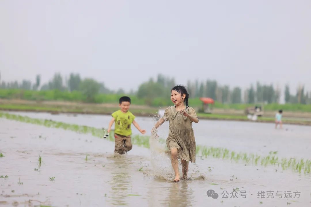 阿拉尔富硒农产品认证(国家富硒农产品认证)-硒宝网