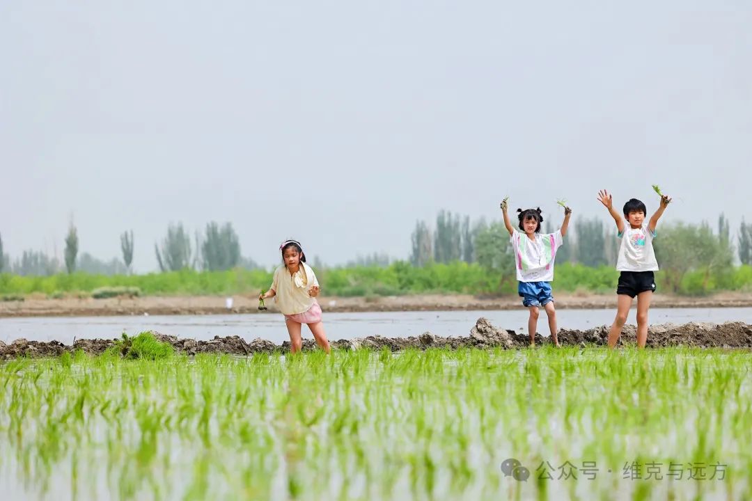 阿拉尔富硒农产品认证(国家富硒农产品认证)-硒宝网