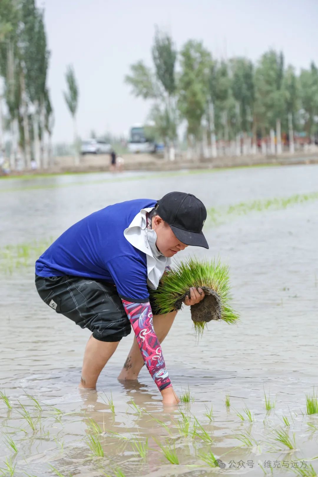 阿拉尔富硒农产品认证(国家富硒农产品认证)-硒宝网