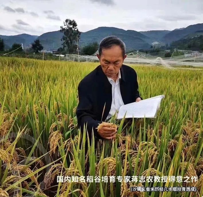 阿拉尔富硒农产品认证(国家富硒农产品认证)-硒宝网