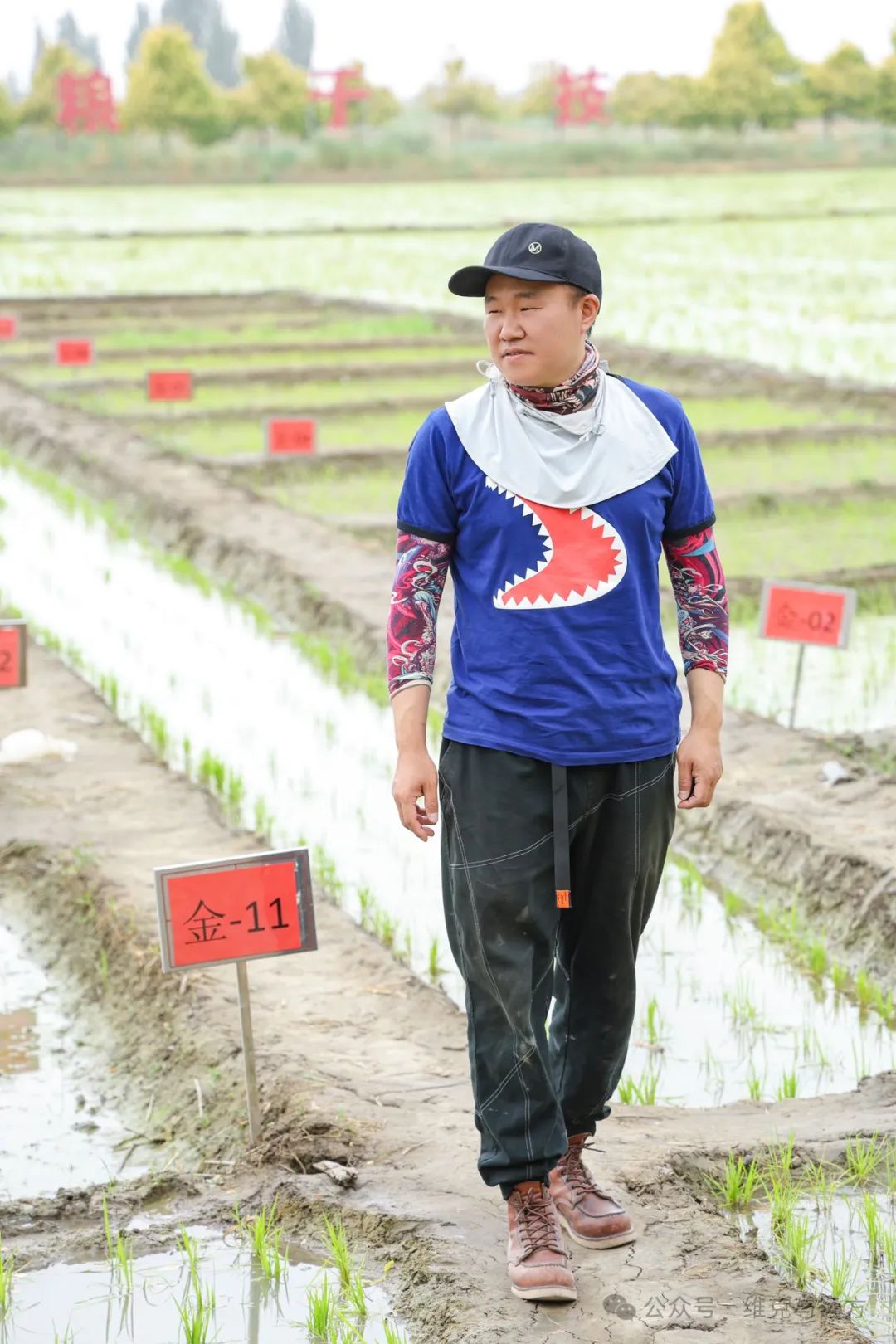 阿拉尔富硒农产品认证(国家富硒农产品认证)-硒宝网