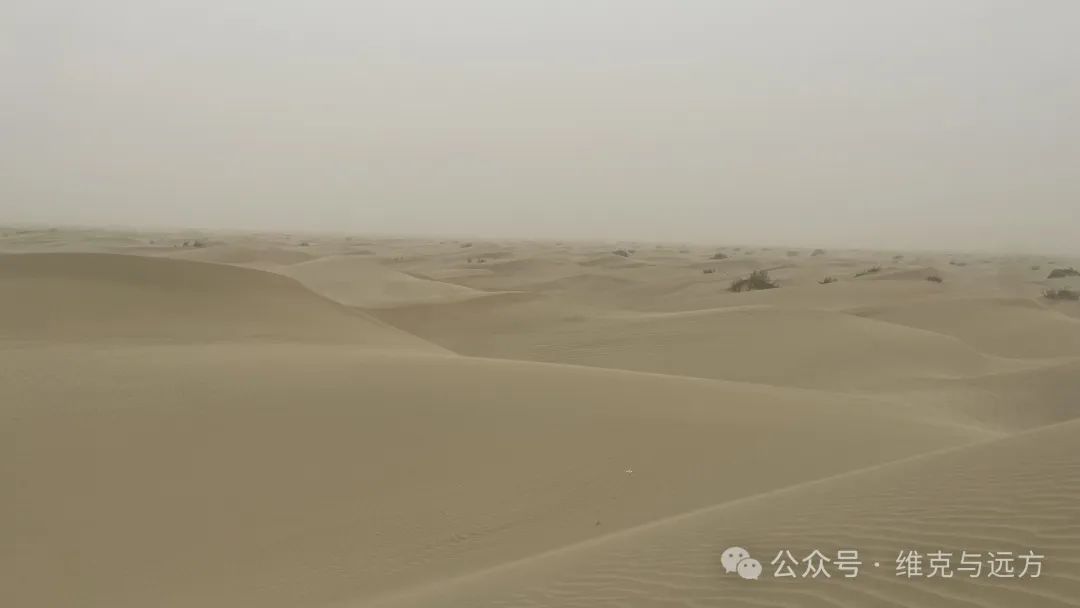 阿拉尔富硒农产品认证(国家富硒农产品认证)-硒宝网