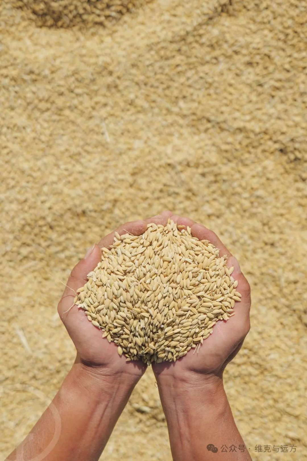 阿拉尔富硒农产品认证(国家富硒农产品认证)-硒宝网