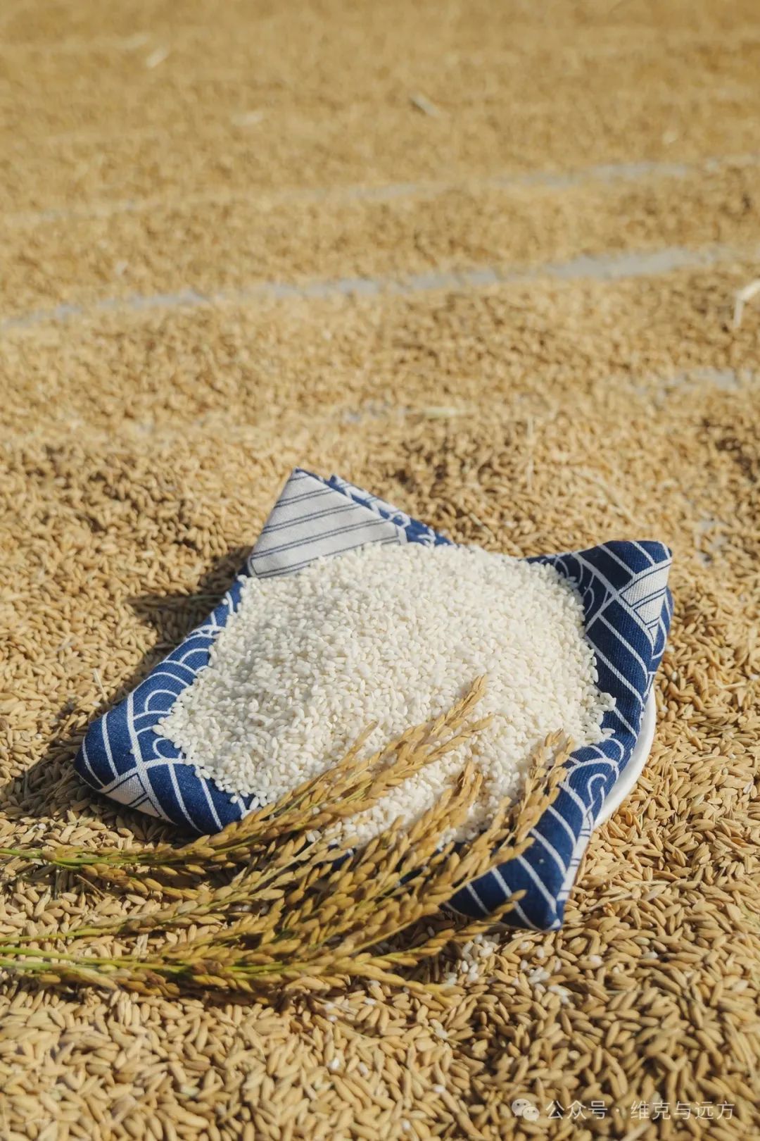 阿拉尔富硒农产品认证(国家富硒农产品认证)-硒宝网