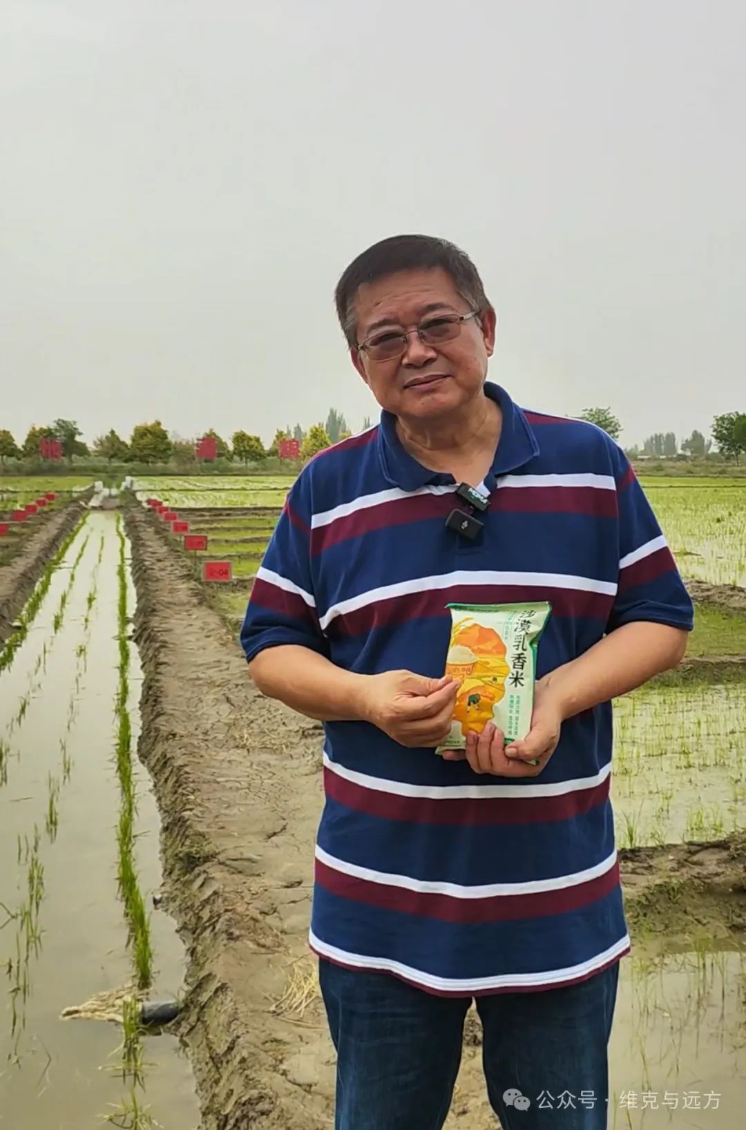 阿拉尔富硒农产品认证(国家富硒农产品认证)-硒宝网