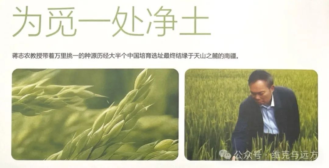 阿拉尔富硒农产品认证(国家富硒农产品认证)-硒宝网