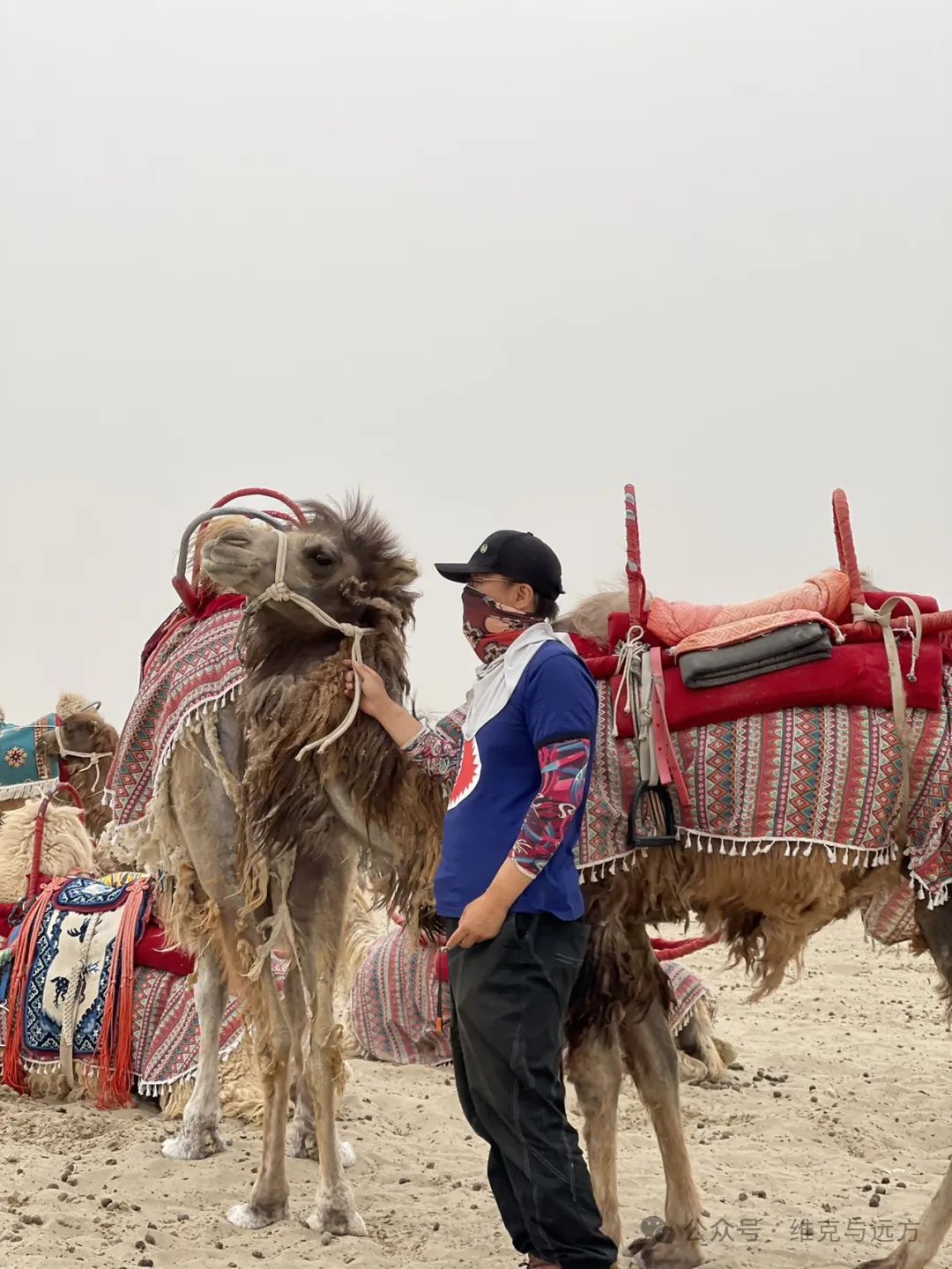 阿拉尔富硒农产品认证(国家富硒农产品认证)-硒宝网