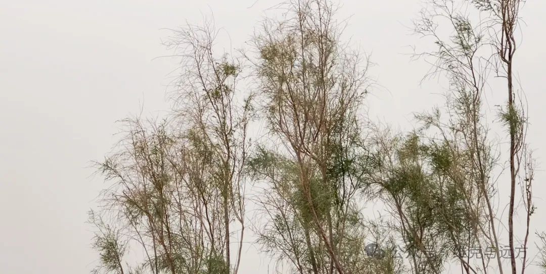 阿拉尔富硒农产品认证(国家富硒农产品认证)-硒宝网