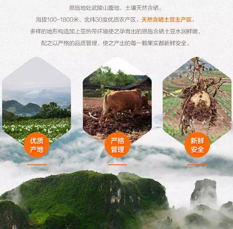 恩施州富硒农产品价格(恩施富硒特产)-硒宝网