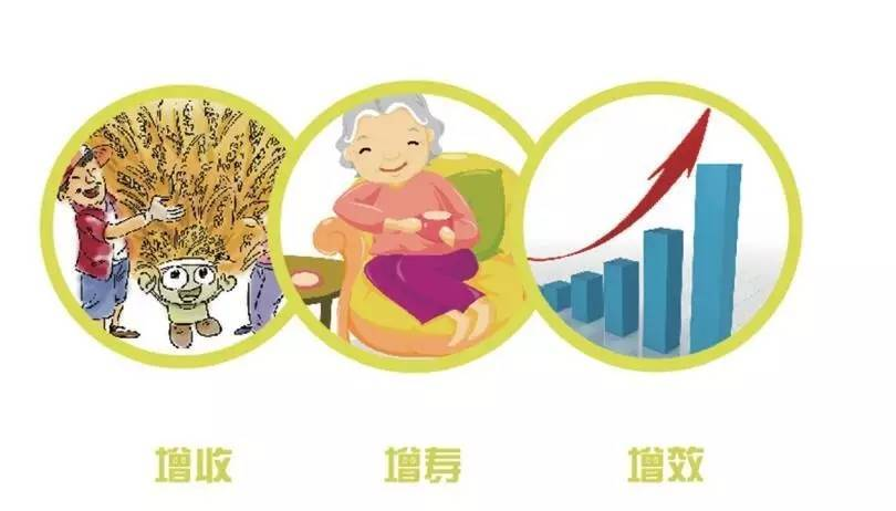 苏州硒谷科技富硒产品(苏州硒谷科技的保健品怎么样)-硒宝网