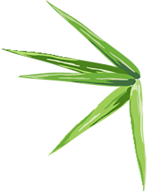 张家界富硒农产品认证(张家界土壤富硒的乡村)-硒宝网