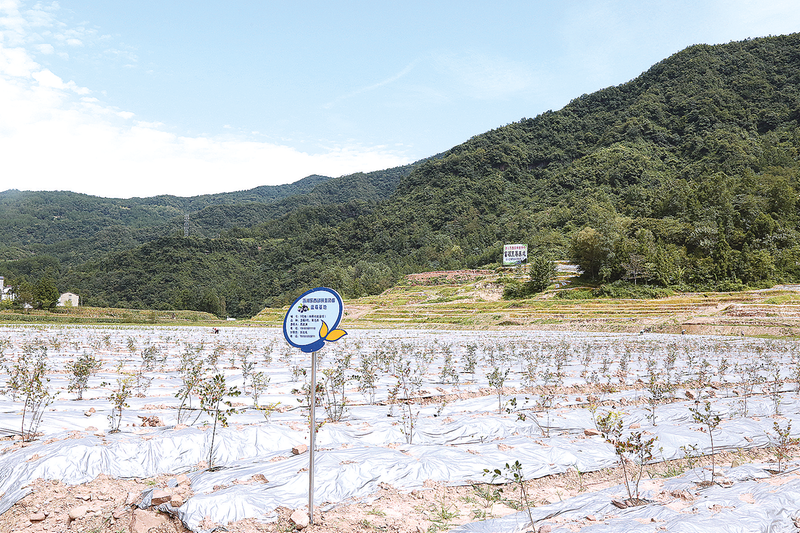 四川万源市富硒农产品（万源市富硒产业发展中心）-硒宝网