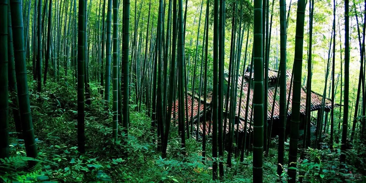 硒含量多少算富硒产品（含硒与富硒标准）-硒宝网